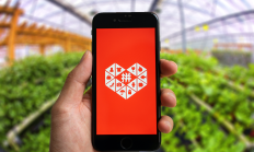 永安期货前三季实现营收83.55亿元 净利同比增长13.31%