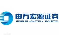 申万宏源承销保荐副总被带走？公司回应：被监察机关依法留置