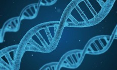 全球科技早参丨谷歌将推出下一代人工智能芯片Trillium