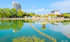 强回报、重创新、增信心 已有452家深市公司积极践行“质量回报双提升”