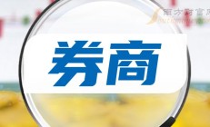 聚焦券商调研新动向：月内559家上市公司“受访” 半导体、AI等行业受关注