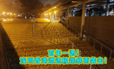 台风橙色预警！“沙德尔”向浙闽沿海靠近 “紫檀”减弱为热带低压