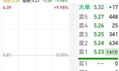 母公司拉响退市警报 国华人寿蒙阴影