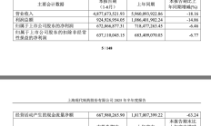 上半年净利跌超两成 华润三九并购阵痛