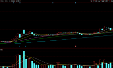 剥离不良资产 ST景谷断臂求生