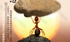 “9・24新政”一周年：从信心重塑到生态焕新