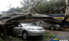 晶科科技“雪上加霜”，中报净利下滑36%后旗下电站遭受台风灾害