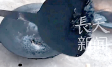 金龙鱼入股鲁花 食用油马太效应愈显