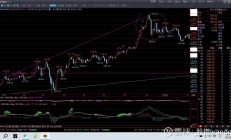 黄金主题基金涨势不休 基金公司建议关注黄金长期配置价值