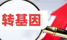 维生素、转基因今天轮番领涨，但A股很可能又要转变风格了