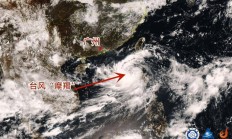 多家上市公司披露台风“摩羯”影响