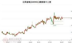 江苏金租：将为项目公司提供7800万美元担保