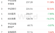 基金发行2025上半场放榜：股票型基金新发规模创近年新高，指数基金“扛大旗”