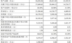 友发集团上半年净利预降 2020年上市两度募资共38亿
