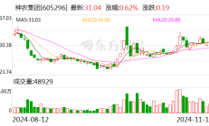 神农集团前6个月销售生猪收入19.41亿元