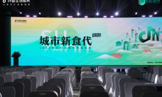 薛辉获批担任苏州金租董事长