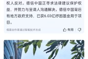 融创中国：向香港高等法院申请的公司股份转让认可令获批 清盘呈请将不影响债转股推进
