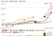 天和磁材上市首日涨290%