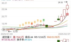 天和磁材上市首日涨290%