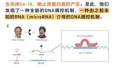 微小RNA获诺贝尔奖，哪些企业有相关技术布局？商业前景如何？