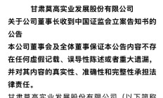新迅达董事长吴成华隐瞒业务资金占用实质被罚225万元