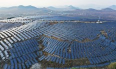 险资活水入青海、光伏羊群育生机 中国人寿保险投资服务托起民生福祉