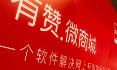 告别“最漫长一年”：探寻AI+SaaS神级组合机会 有赞白鸦重拾老本行