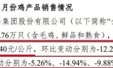 松发股份资产腾挪背后三大疑点