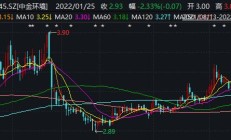 未按规定披露业绩预亏公告 ST智知及时任董事长史玉江等被通报批评