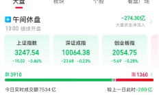 东京股市两大股指涨跌不一