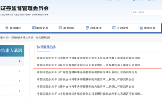证监会主席吴清：尽快将QFII可交易期货期权品种总数拓展到100个 完善股票债券期货市场体系和产品供给