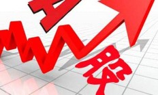 逾700家公司上半年业绩预喜 机构密集调研绩优股