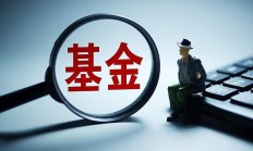 7400亿兴全基金“换帅”：庄园芳正式出任董事长，陈锦泉接棒总经理