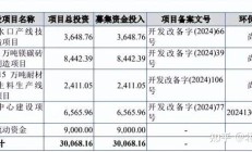 营收净利双降 中炬高新“再造新厨邦”受挫
