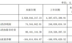 锦江国际财务公司2024年度实现营业收入1.11亿元 净利5207.38万元