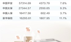 险资支持实体经济再升级，权益类资产监管比例调整，新规释放哪些信号？