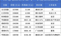 锂行业上市公司上半年业绩分化