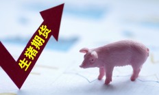 顺应现货市场出栏体重变化 大商所调整生猪期货交割质量标准