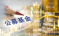 两家公募指数基金规模破万亿元；华泰柏瑞基金迎新“掌门”