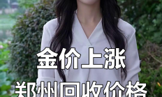 金价大涨助力 A股黄金矿企2024年业绩亮眼