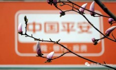 平安信托换帅落定 王欣正式出任董事长