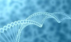 中国生物制药1.42亿元领投礼新医药C1轮融资