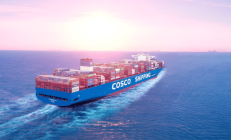 中远海控2024年净利润预计约553.72亿元，同比增加约94.99%