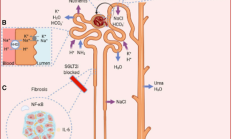 糖尿病防治迎政策红利 上市公司加速“竞技”新型降糖药物