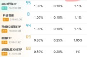 外汇局：以科创企业为重点做好金融“五篇大文章”