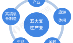 中康科技董事长吴瀚：消费医疗将成为我国健康产业第二支柱