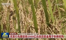 年内已有90家公司实施定增 “自家人”频出手