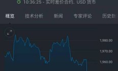 英伟达概念持续走高 多只股票创历史新高