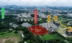 民营房企重现土拍江湖，五批次、六批次相继出现，业内：阶段性调整集中供地是必要的