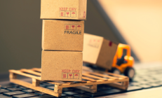 跨境“新生代”④ | Temu踏足日韩市场 是“到嘴的肥肉”还是“难啃的骨头”？